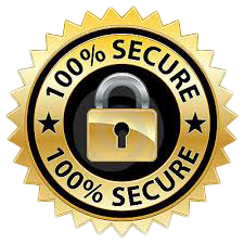 100% de Seguridad